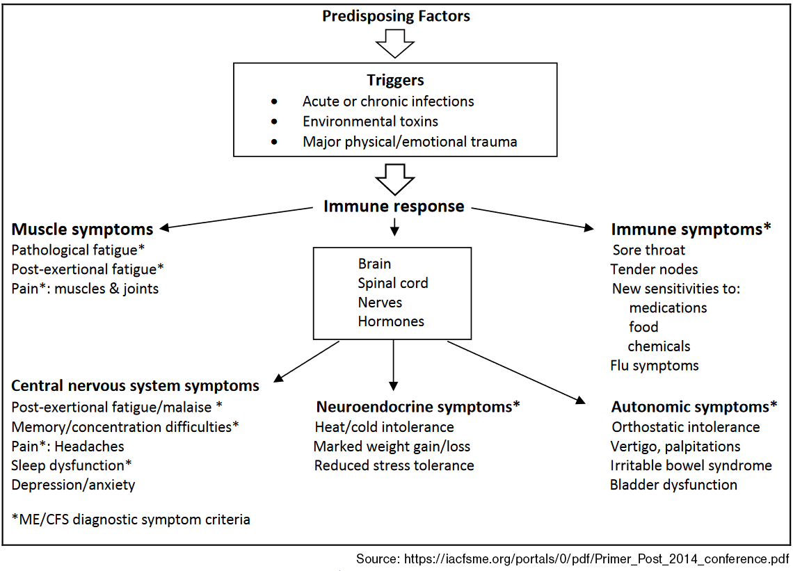 CFS diagram