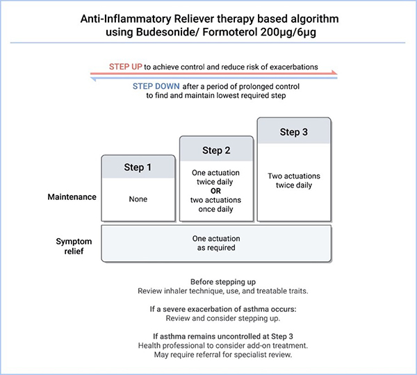 Diagram of Anti-Inflammatory reliever algorithm