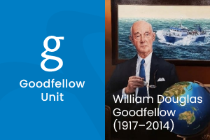goodfellow